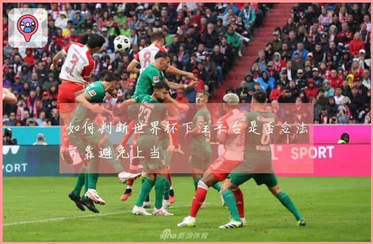 如何判断世界杯下注平台是否合法可靠避免上当