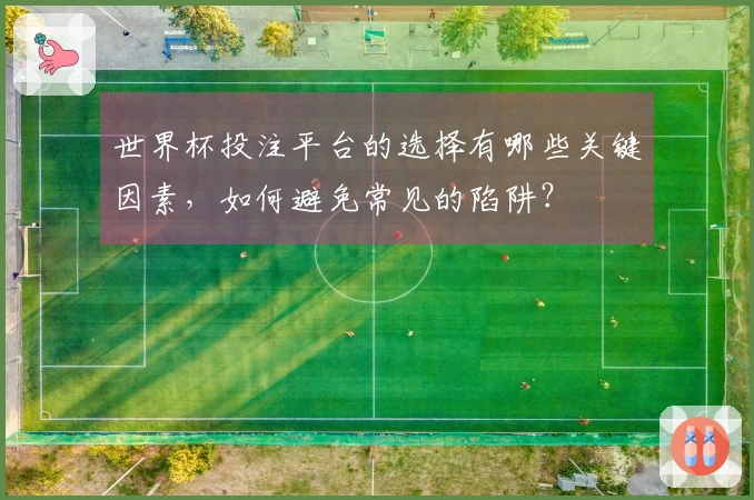 世界杯投注平台的选择有哪些关键因素，如何避免常见的陷阱？
