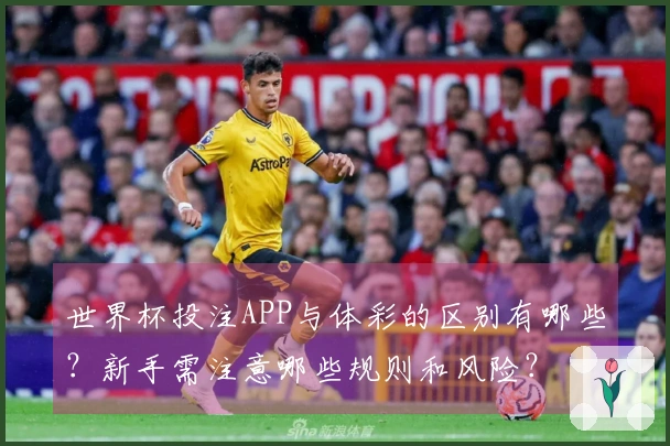 世界杯投注APP与体彩的区别有哪些？新手需注意哪些规则和风险？