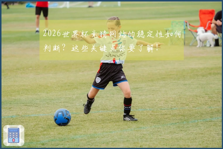 2026世界杯竞猜网站的稳定性如何判断？这些关键点你要了解！