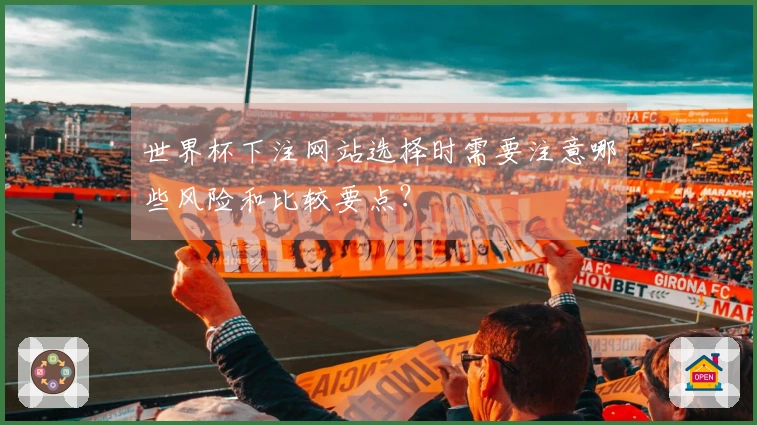 世界杯下注网站选择时需要注意哪些风险和比较要点?