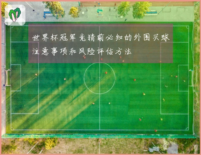 世界杯冠军竞猜前必知的外围买球注意事项和风险评估方法