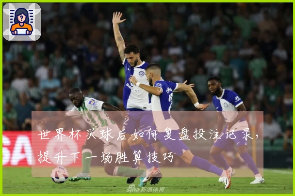 世界杯买球后如何复盘投注记录，提升下一场胜算技巧