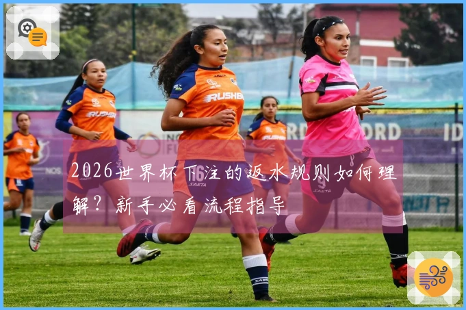 2026世界杯下注的返水规则如何理解？新手必看流程指导