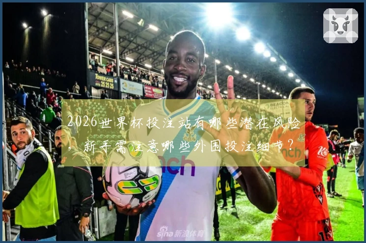 2026世界杯投注站有哪些潜在风险，新手需注意哪些外围投注细节？
