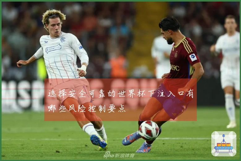选择安全可靠的世界杯下注入口有哪些风险控制要点