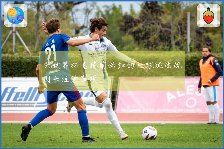 买世界杯竞猜前必知的让球玩法规则和注意事项