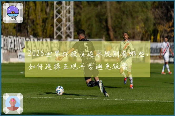 2026世界杯投注返水规则有哪些，如何选择正规平台避免踩雷