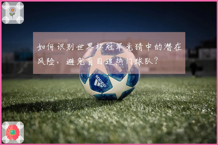 如何识别世界杯冠军竞猜中的潜在风险，避免盲目追热门球队？