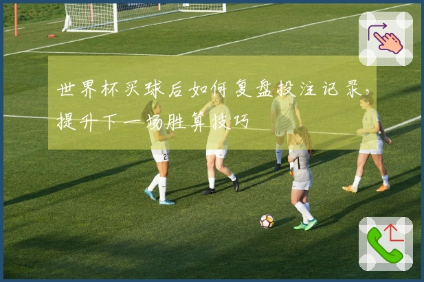 世界杯买球后如何复盘投注记录，提升下一场胜算技巧