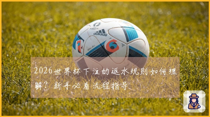 2026世界杯下注的返水规则如何理解？新手必看流程指导