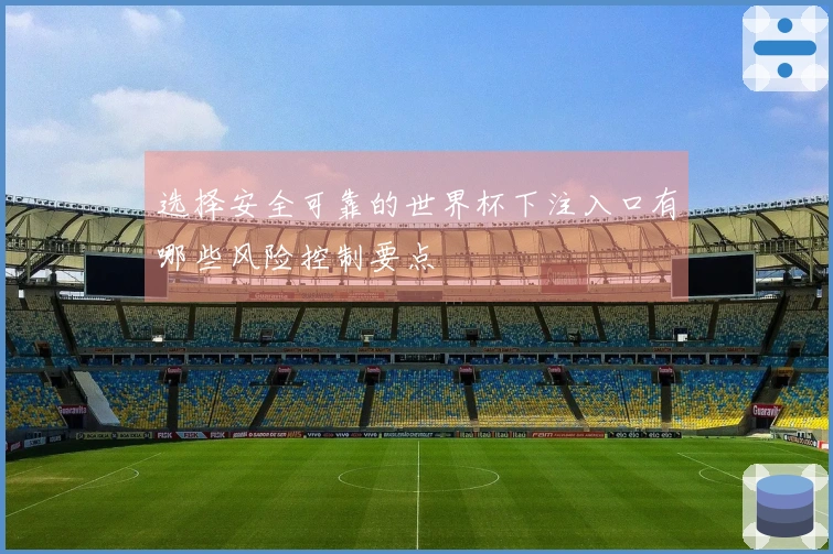 选择安全可靠的世界杯下注入口有哪些风险控制要点