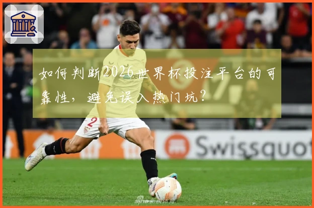 如何判断2026世界杯投注平台的可靠性，避免误入热门坑？