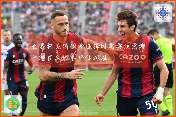 世界杯竞猜软件选择时需要注意哪些潜在风险和评估标准