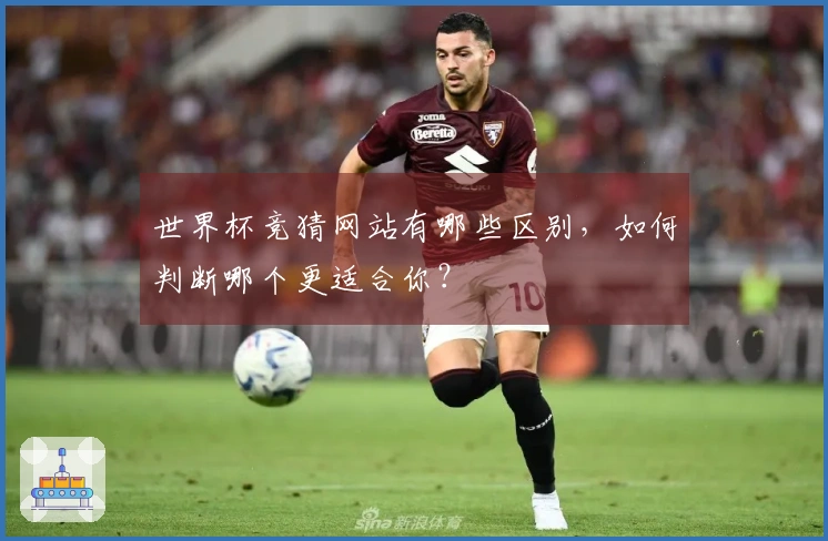 世界杯竞猜网站有哪些区别，如何判断哪个更适合你？