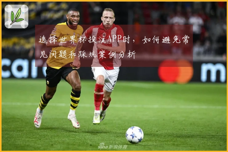 选择世界杯投注APP时,如何避免常见问题和踩坑案例分析